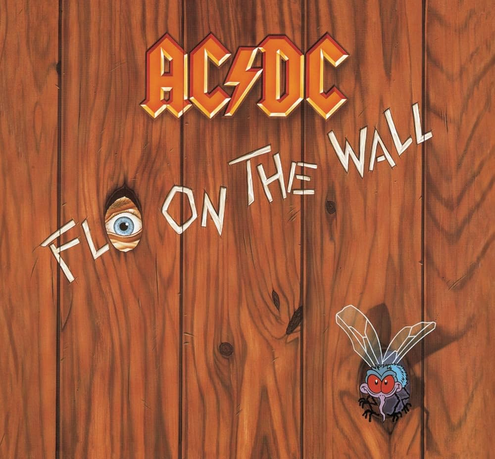 Fly on the Wall cover