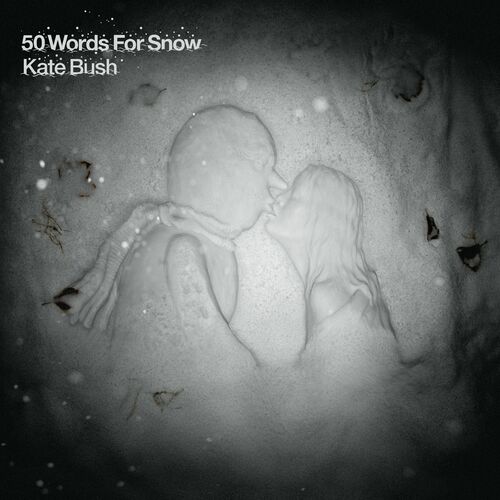 50 Words for Snow cover