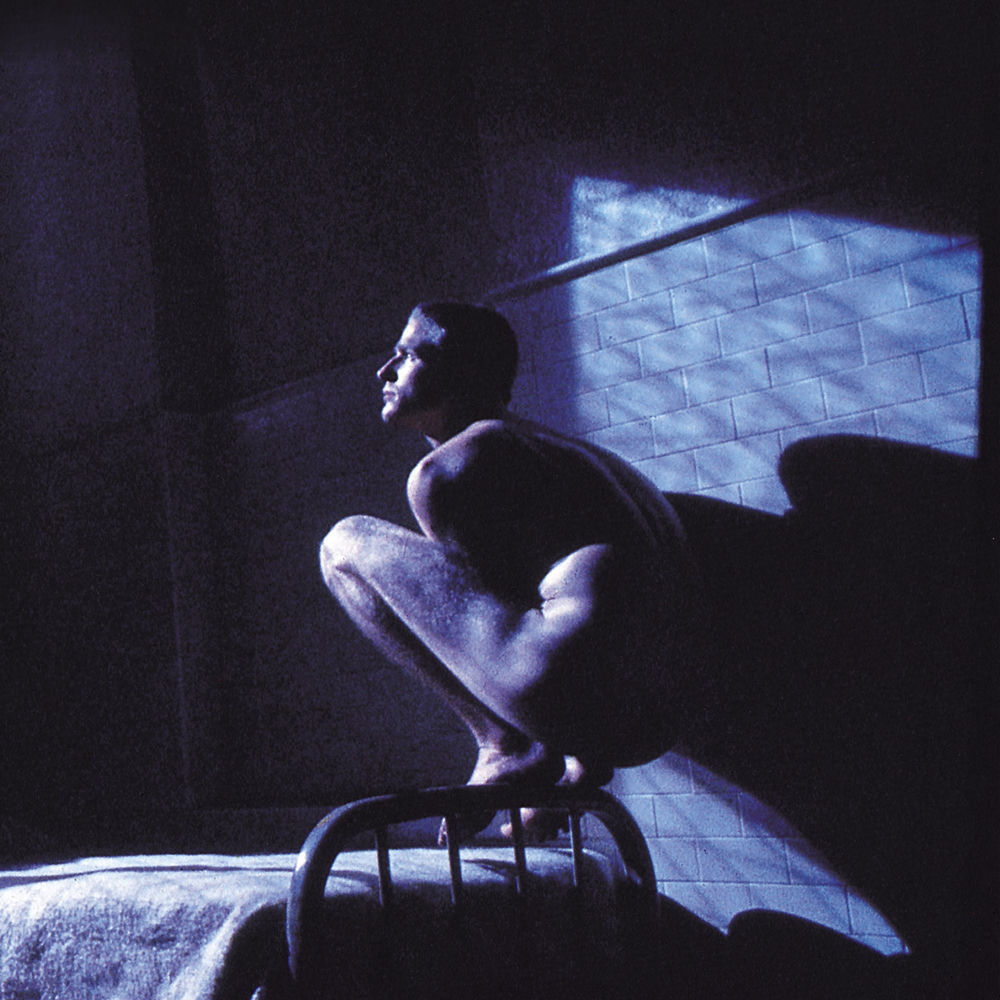 Birdy cover