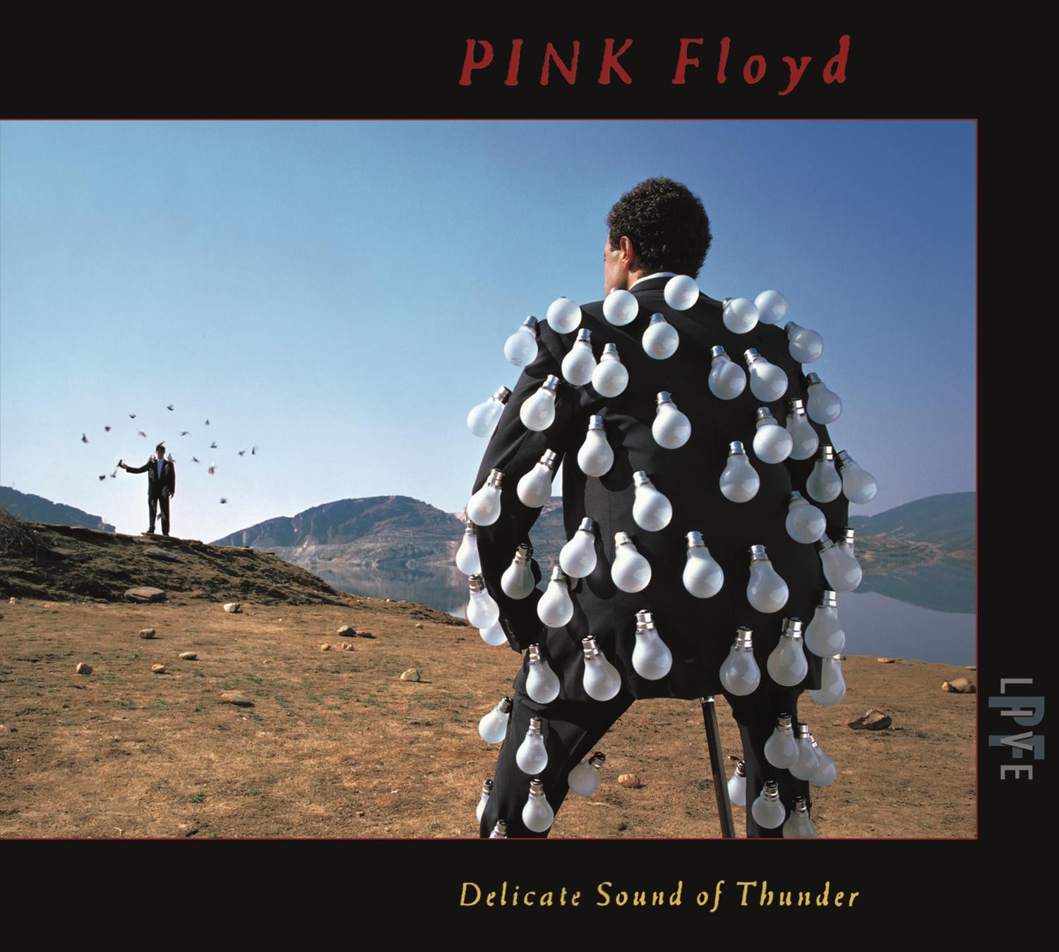 Delicate Sound of Thunder cover