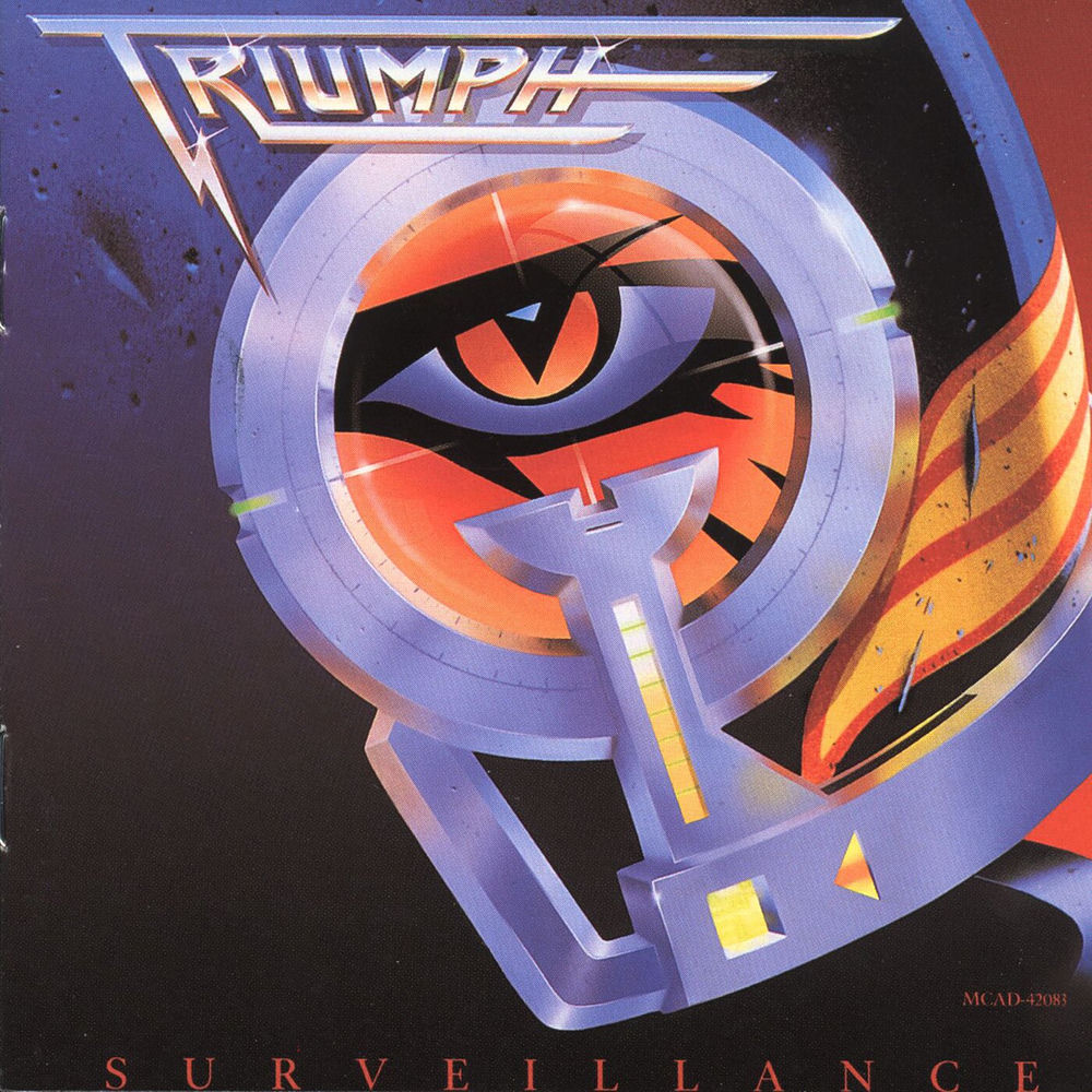 Surveillance cover